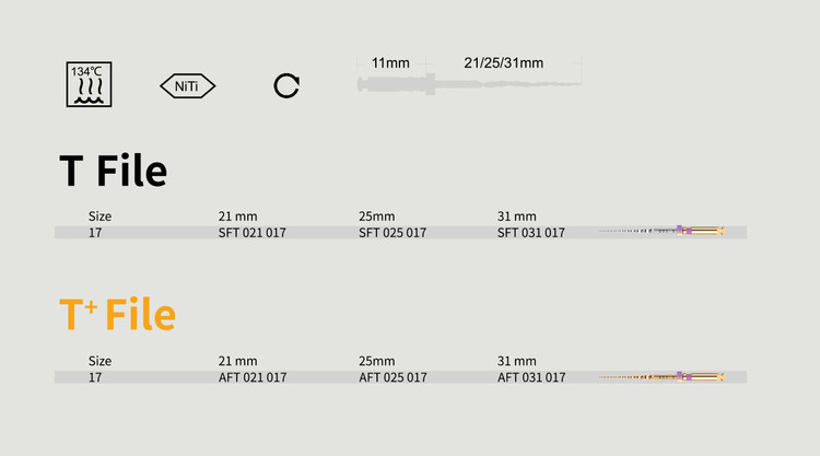 پث فایل روتاری گلد 2% / 17 25mm (T+FILE) NIC