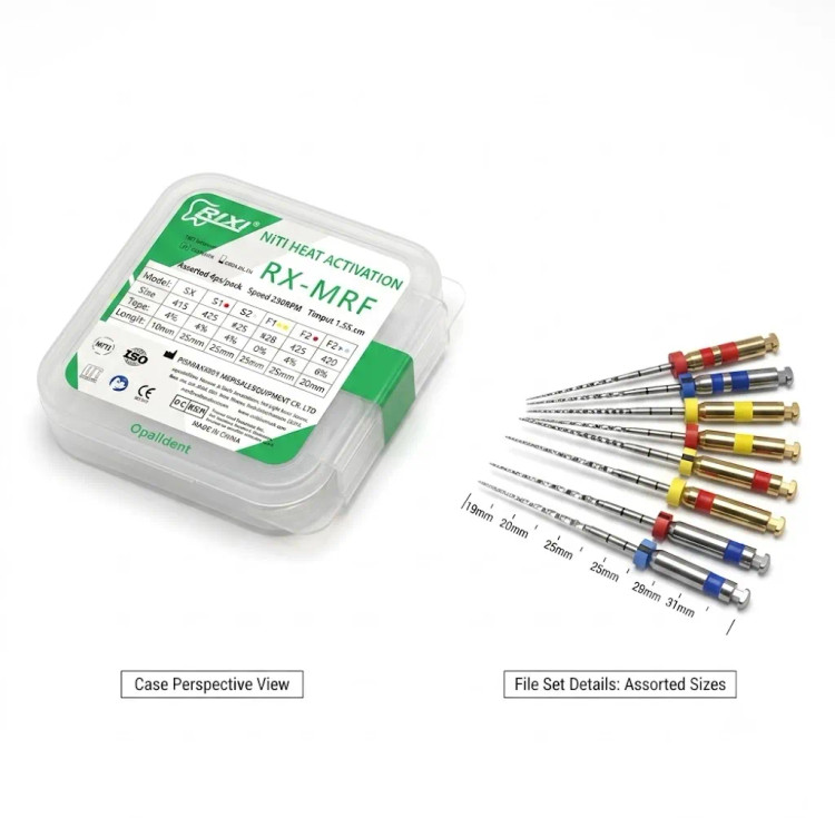 فایل روتاری 4% رنگینکمانی 25mm ریکسی
