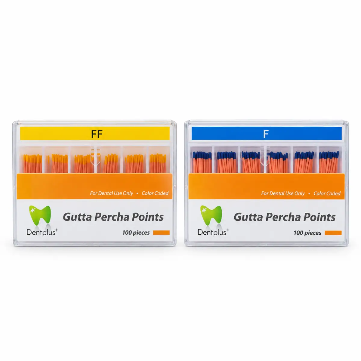 Dent Plus