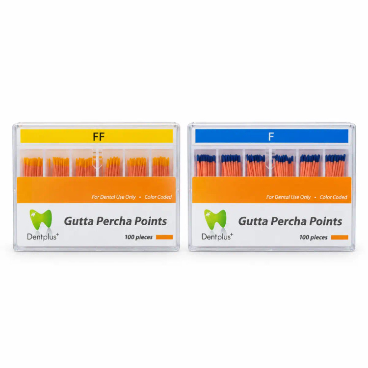 Dent Plus